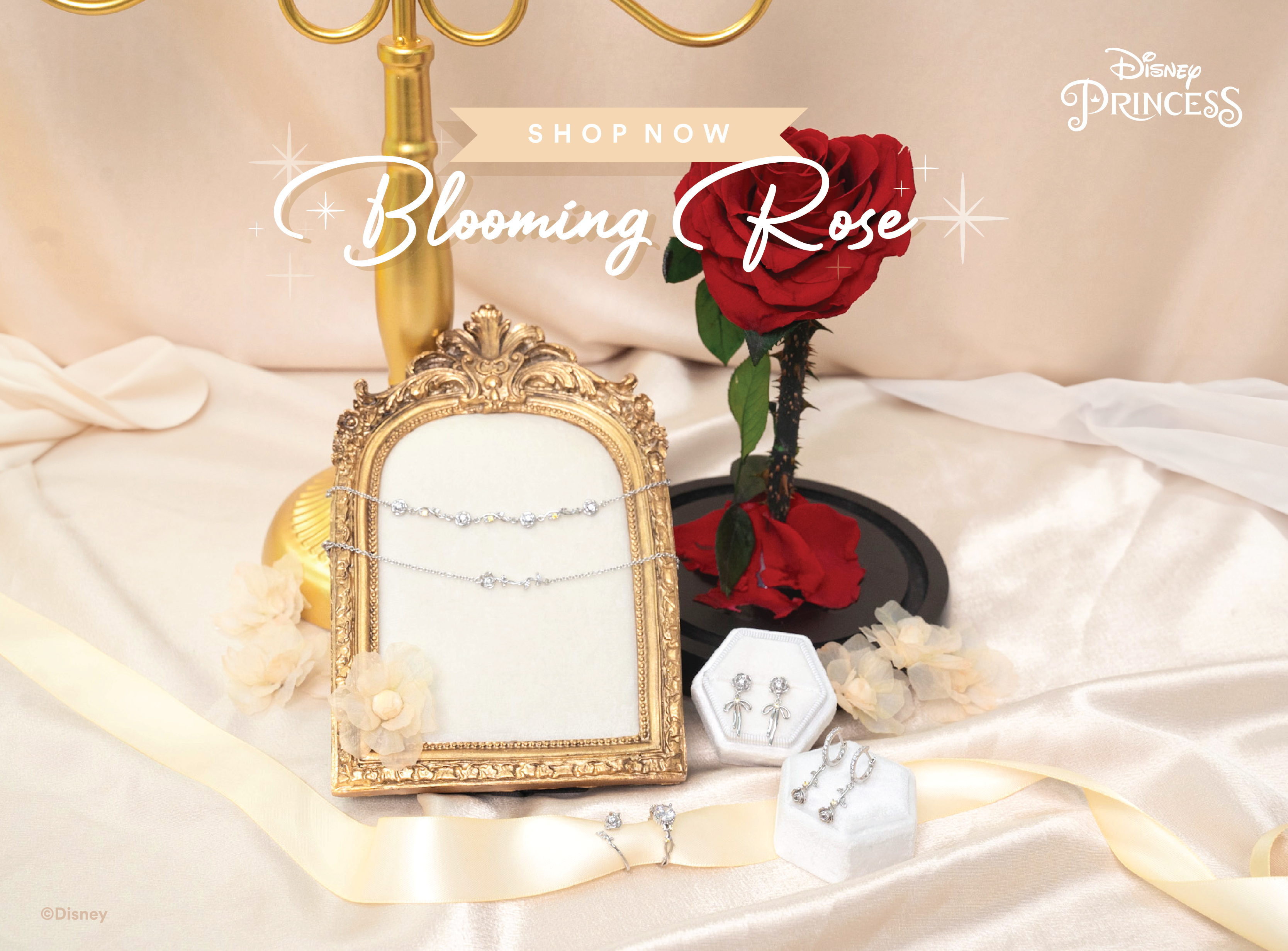 BLOOMING ROSE COLLECTION